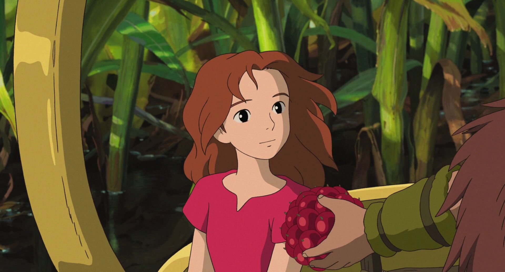 mejores películas anime de Netflix El mundo secreto de Arrietty