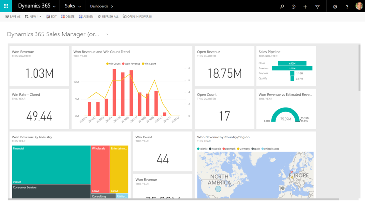 Microsoft Dynamics CRM gestión